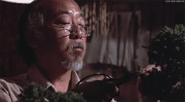 Bonsai