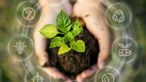 Esko unveils emission calculator with CarbonQuota
