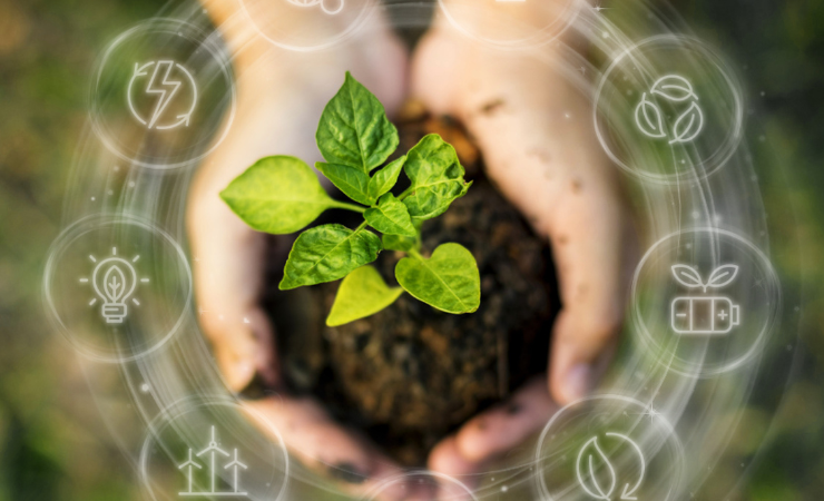 Esko unveils emission calculator with CarbonQuota