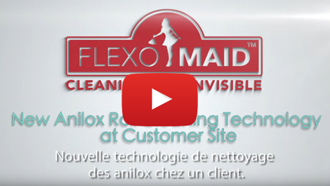 Automated anilox cleaner