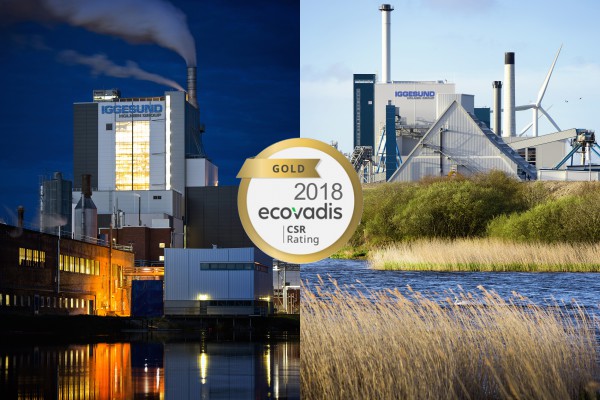 Iggesund gets sustainability gold