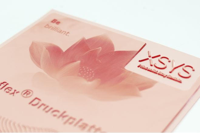 XSYS to introduce global surcharge